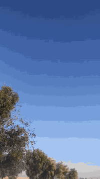 سلامن عليكم كيه بنكو لبيع موديل 23   كفاله رقم بغداد   وبسمي  كامله شر...