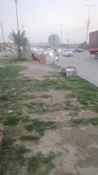 حسينية • طريق بغداد • ٢٠٠م