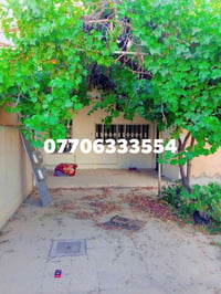 حي الواسطي • ٣٥٠م • حديقة
