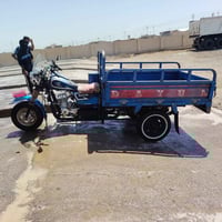 ستوته • ٢٠١٦ • مكفوله