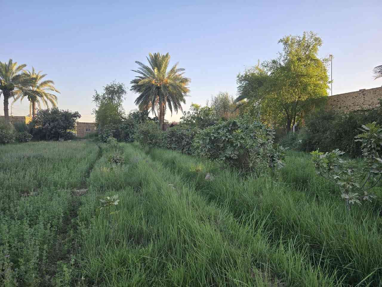 للبيع
بستان  

مساحة دونمين 
طريق السنيه السياحي 
نزله البو شهيب 
سند ٢٥ 
متوفر كافه الخدمات 
ماء
كهرباء 
للاستفسار مراجعة مكتب السنيه للعقار 
قرب جامع السنيه الكبير 
***********
