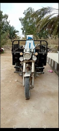 ستوته 19 • اوراق اصلية • الرميثه