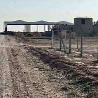 دونم • طابو زراعي • مقابل محطة ثعبان