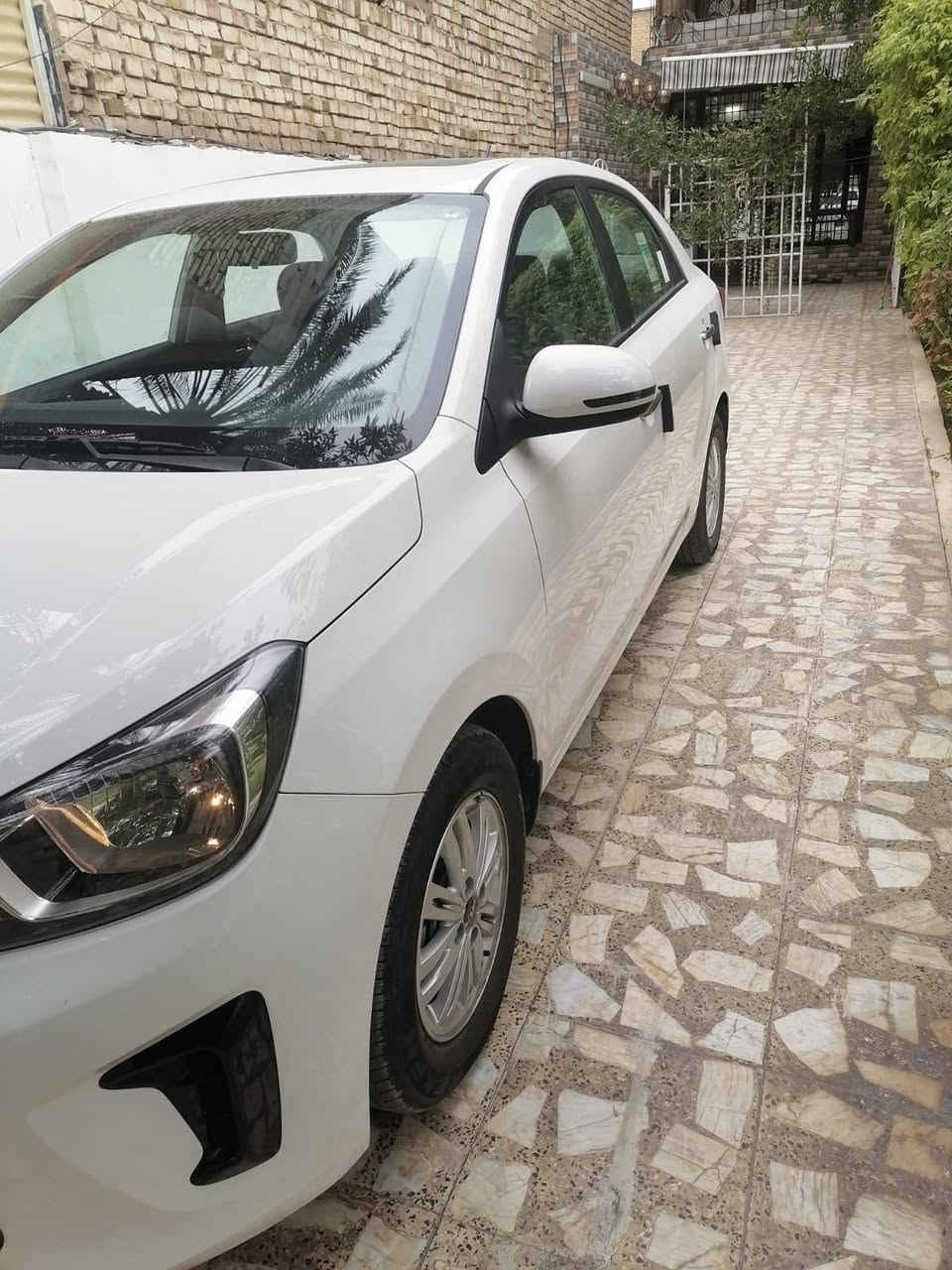 سلام عليكم
كيا بيجاس موديل 2025 رقم أربيل دولي ترقيم جديد هزه وفحص جديده
بدون ضربه ولا صبغ مكفوله كفاله عامه 

زيرو ماشيه 2500
خليجي فول مواصفات
مال شركه nim.ام ضمان باب الاول
تحويل او وكاله اي شي حاضر
فتحه
شاشه بلادي
كاميره دواره
حاسات خلفيه
مري اشاره
تحكم سترين اواكس بلوتوث حكايه تلفون مانع انزلاق حاس اطار
كورس سرعه
كراسي جلد بلادي
ويل كب
بلوجكات اماميه 
اتصال ***********او ***********مكاني بغداد
