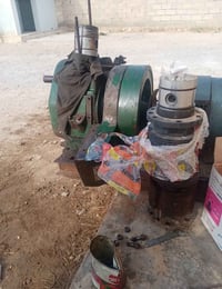 مولد • الرمادي • جديد