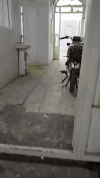 روناكي • ١٢٥م • مشتمل أرضي