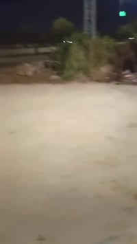 اربعة كير • شلامجة ابلاد • اوراق اصلية