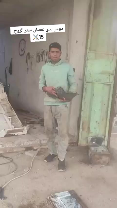 دوس بدي تفصال سعر الزوج 15 
عدد مفتوح  مكاني شطره  ***********
