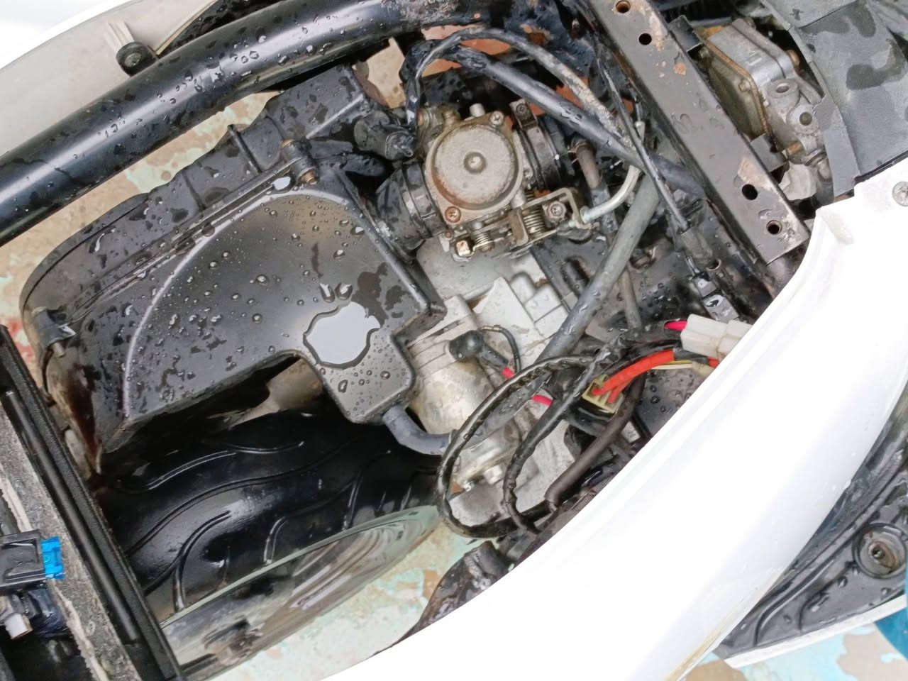 السلام عليكم  
دراجه ماكس امضلع لل بيع 
دراجه ماشيه 7000 زيروه 
مكينه ما مفتوحه 
الدراجه نضيفه 
صالنصه FM فصله قويه و طلقات 
السعر خاص 
***********
امراوس او بيع  
الدراجه نكره سلف و هندر 
مكينه ناعمه لا نضوح ولا تبخير
