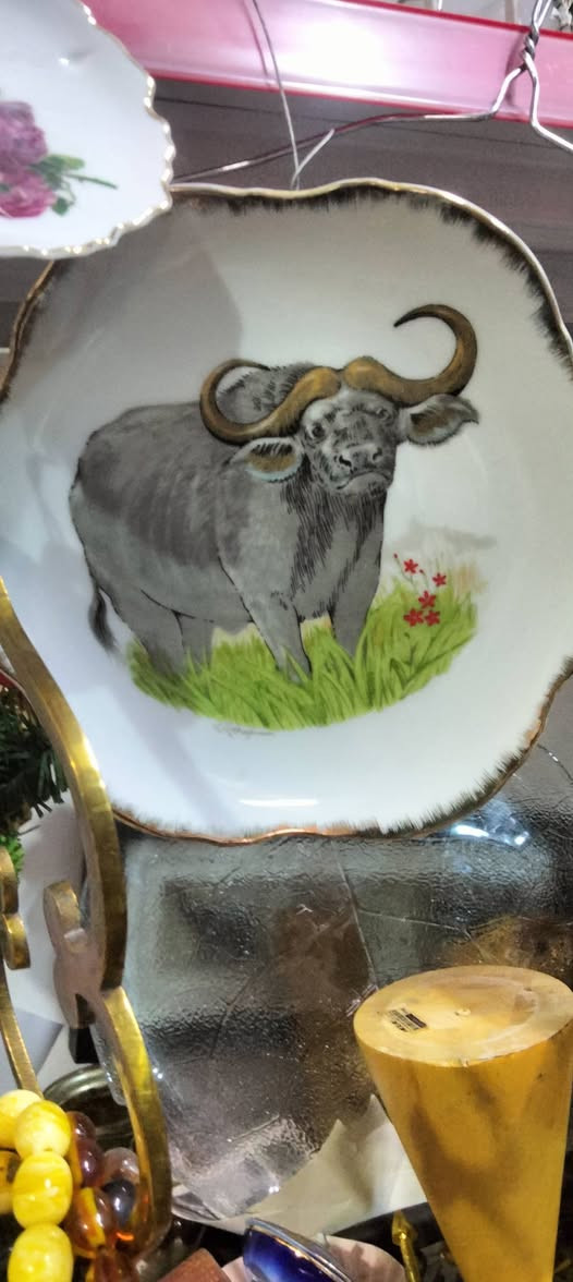 معرض المرتضى للانتيكات   رقم محل 12


**إذا كنت صاحب هذا الإعلان وتريد حذفه لأي سبب، رجاءا أرسل رسالة إلى الدعم الفني**