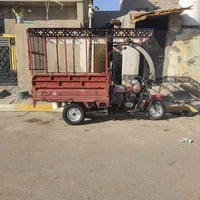 ستوته دايون موديل 2017 اوراق كامله ستوته كامله محجر ابو الباب جامه اما...