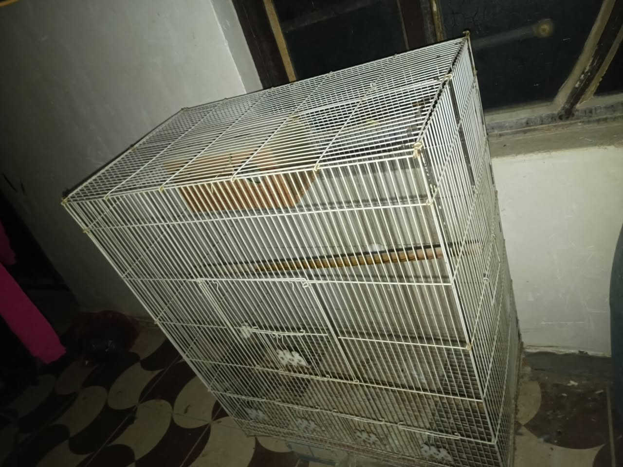 السلام عليكم قفاصة للبيع المكان الغزالية 
الاتصال للاستفسار على الرقم 
***********
