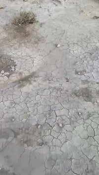 دونم ونص قرب سيطرة الاثار بسعر كلش حلو تبعد عن الجسر الي خلف السيطرة 7...