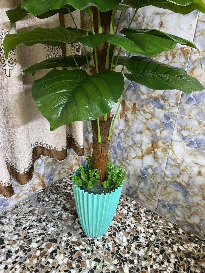 شجرة مال زينة اصطناعية
اوراقها جبيره

وحجم الشجرة جبير 

ارتفاعها ٢٢٠ مترتين وشويه

عرضها ٦٠ اكثر من نص متره

بغداد زعفرانية  سعر 75 الف

***********
