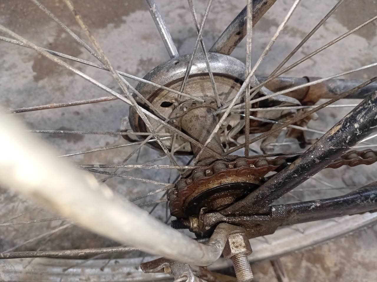 السلام عليكم بايسكل حجم 26 بي بس انعواج بالويل الخلفي السعر (60الف) العنوان الزعفرانية متواجد فيس او خاص


**إذا كنت صاحب هذا الإعلان وتريد حذفه لأي سبب، رجاءا أرسل رسالة إلى الدعم الفني**