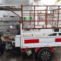 ستوته ام طير • موديل 20 • اوراق كامله