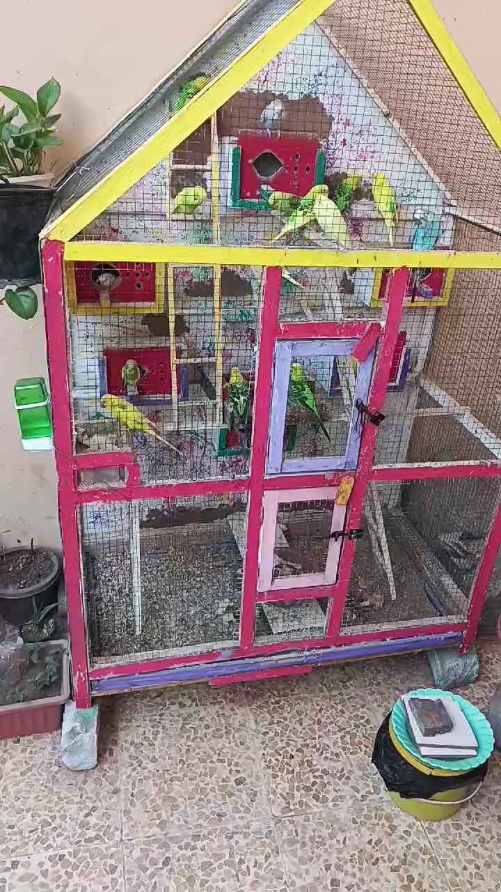 يوجد قفص للبيع الاتصال
‏‪+9647736948209‬‏
@


**إذا كنت صاحب هذا الإعلان وتريد حذفه لأي سبب، رجاءا أرسل رسالة إلى الدعم الفني**