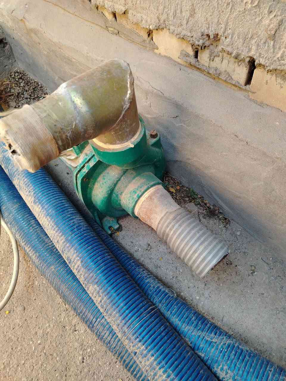 للبيع كلمن وسعره.   ***********
