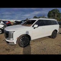 باليسايد • ٢٠٢٦ • تقرير غرق