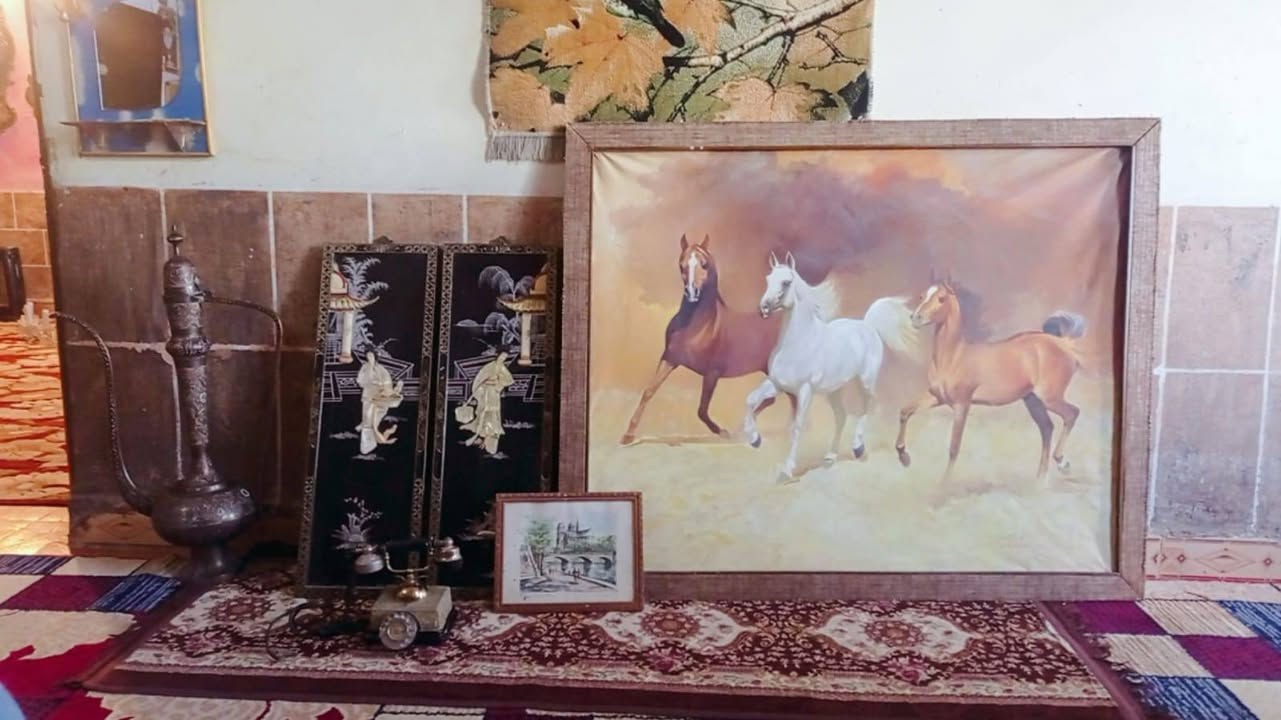 تحفيات للبيع للتواصل معنا ***********
