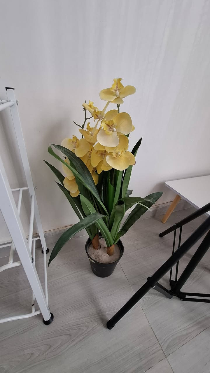 بضاعة امزون جديدة متابعة للصفحة لطفا قطعة ب١٠ الاف توصيل ٣ كل المحافظات كل ٣ قطع توصيل مجاني


**إذا كنت صاحب هذا الإعلان وتريد حذفه لأي سبب، رجاءا أرسل رسالة إلى الدعم الفني**