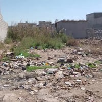 عليكم قطع العدد 2للبيع بوب الشام منطقة عبد الحر بقرب بيت ضيفان  زراعي ...