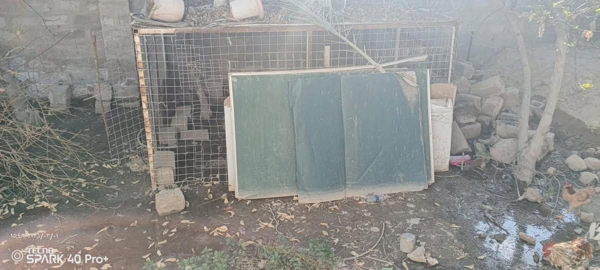 مكلف بلنشر
قفص دجاج للبيع الأبعاد ٣×٢ السعر ١٥٠  الف بيه مجال

مكانة ناحية الصقلاوية

لاستفسار ***********
