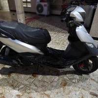 ثعلب • شغاله • تاير