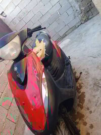 ماكس • عدله • بيها مجال