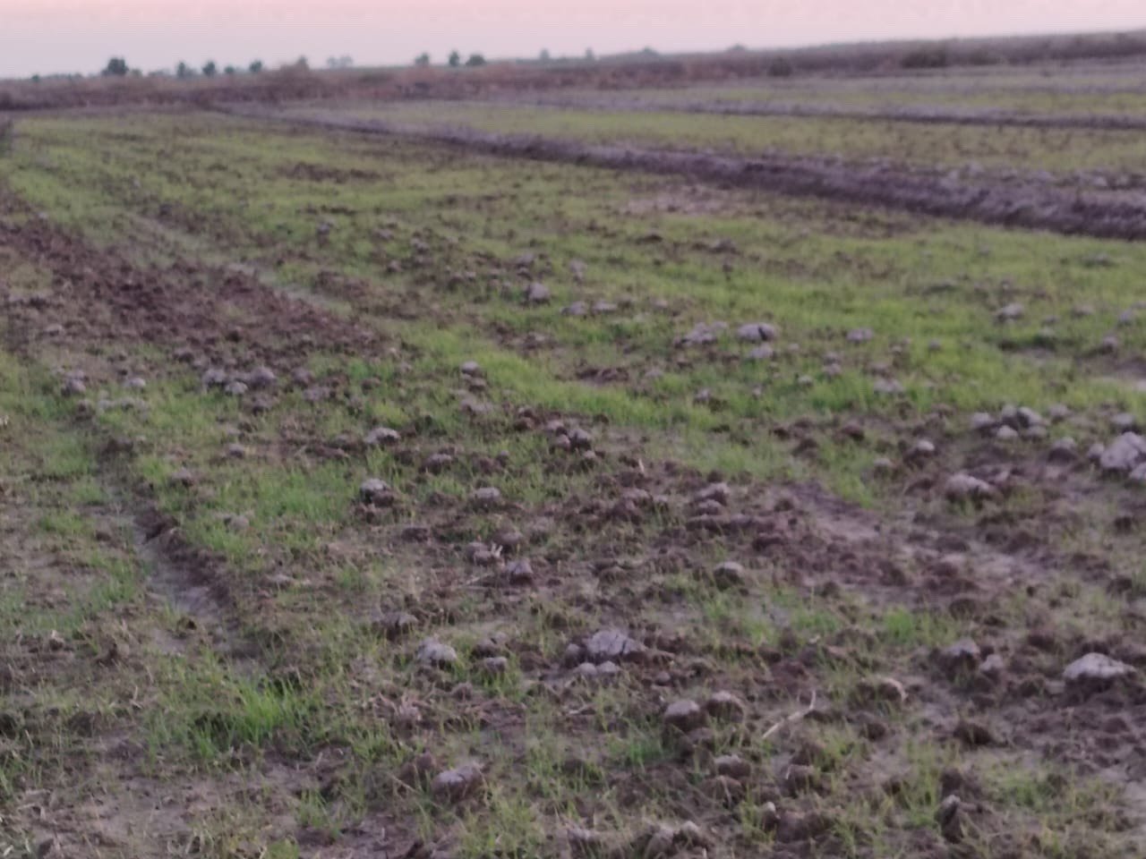 السلام عليكم 
ارض زراعيه للبيع المساحه 2دونم طابو سند25طابو الصويره تحويل مباشر بسم شخص واحد تربه درجه اولى محدده ومثبته صالحه للزراعه ولسكن متوفر جميع الخدمات ماء سقي كهرباء ماء اسأله مدارس مركز صحي تبعد عن مركز مدينه 5كيلو
وعن الشارع التبليط 300منر
وجه الدونم الواحد 15م 
المكان واسط الصويره قرب مدرسة البدعه 
السعر الكلي للدونمين 35
*********** واتس اب فقط