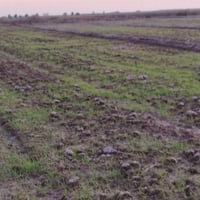 ارض زراعيه للبيع المساحه 2دونم طابو سند25طابو الصويره تحويل مباشر بسم ...