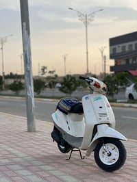 دراجة 60 • نظيفة • كربلاء حي الغدير