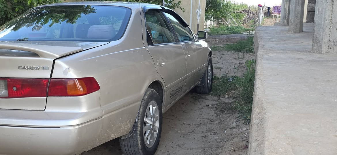 كامري موديل ٢٠٠٠ وارد أمريكا رقم بغداد بسمي لون أصفر ذهبي أربع سلندر كير محرك تبريد كفاله تخم تاير باتري جديد كهربائيات كله شغاله مصبوغه حزام سياره حلوه وناعمه مالت جناي 
والعنده سياره دبل قماره اوتوماتيك مراوس عادي يرهم


**إذا كنت صاحب هذا الإعلان وتريد حذفه لأي سبب، رجاءا أرسل رسالة إلى الدعم الفني**