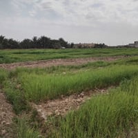 ١٠ دوانم ونص • واجهة شارع • على شط الغراف