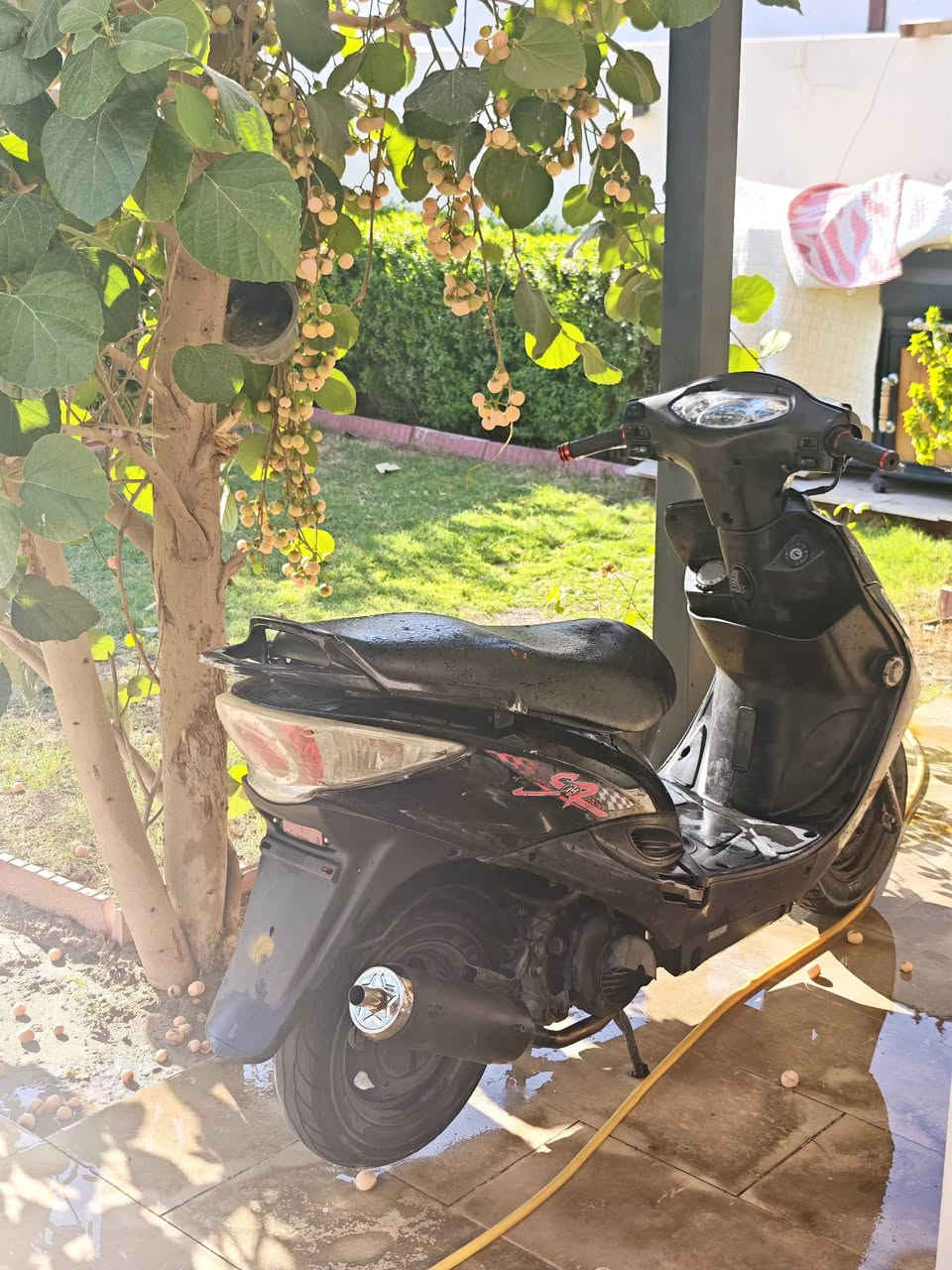 كامكو g4 بنز دراجه نگره بكل وكت 150cc بوشه 55 دراجه شلعه ومعدل /وبلاديه مختمه من الطول لطول وبيه صالنصه sc رياضي السعر 550 وبيه مجال للستفسار ***********
