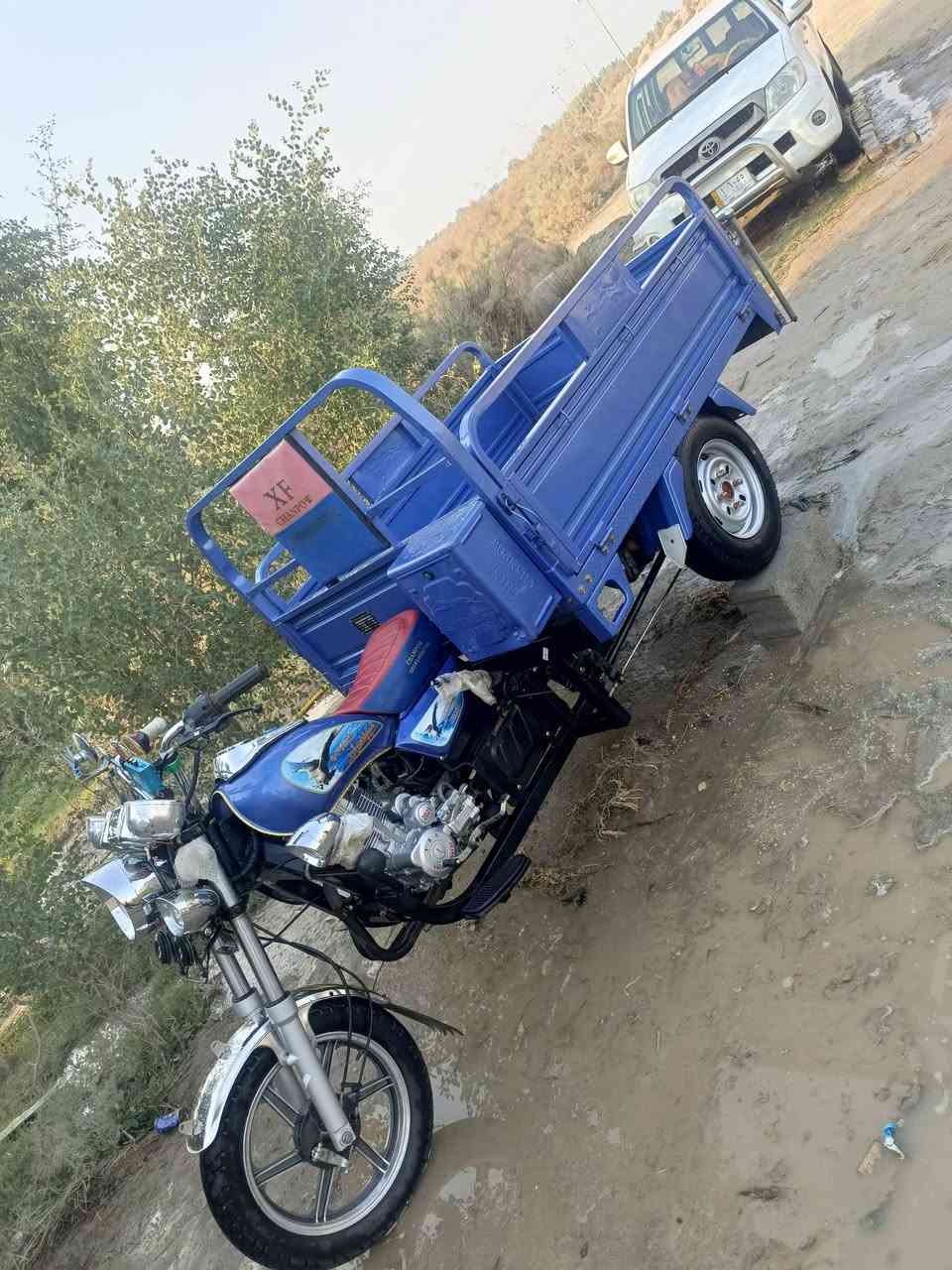 سلام عليكم ستوته للبيع 25 وكيل نبيل ابن جرد مكانك بلدوانيه قضاء السدير التفاصيل ***********
