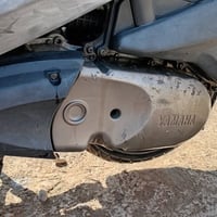 بريز ببغاء • قابل تفاوض • الحريه الدولعي