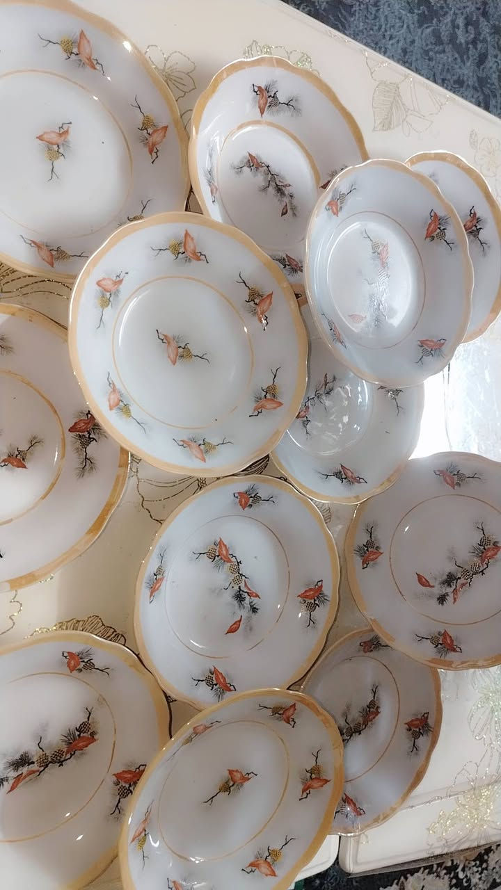 ماعون عمیق قیاس ۱٥ سم نص عدد ۱۲ قطعە یوجد التوصیل


**إذا كنت صاحب هذا الإعلان وتريد حذفه لأي سبب، رجاءا أرسل رسالة إلى الدعم الفني**