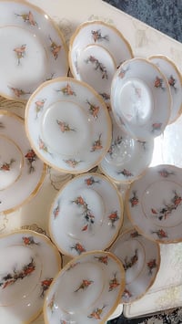 ماعون عميق • ١٥ سم • ١٢ قطعة