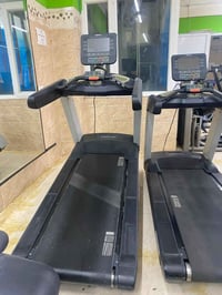 جري بريطاني • السليمانية