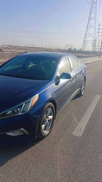 ٢٠١٦ • حره • كفاله عامه