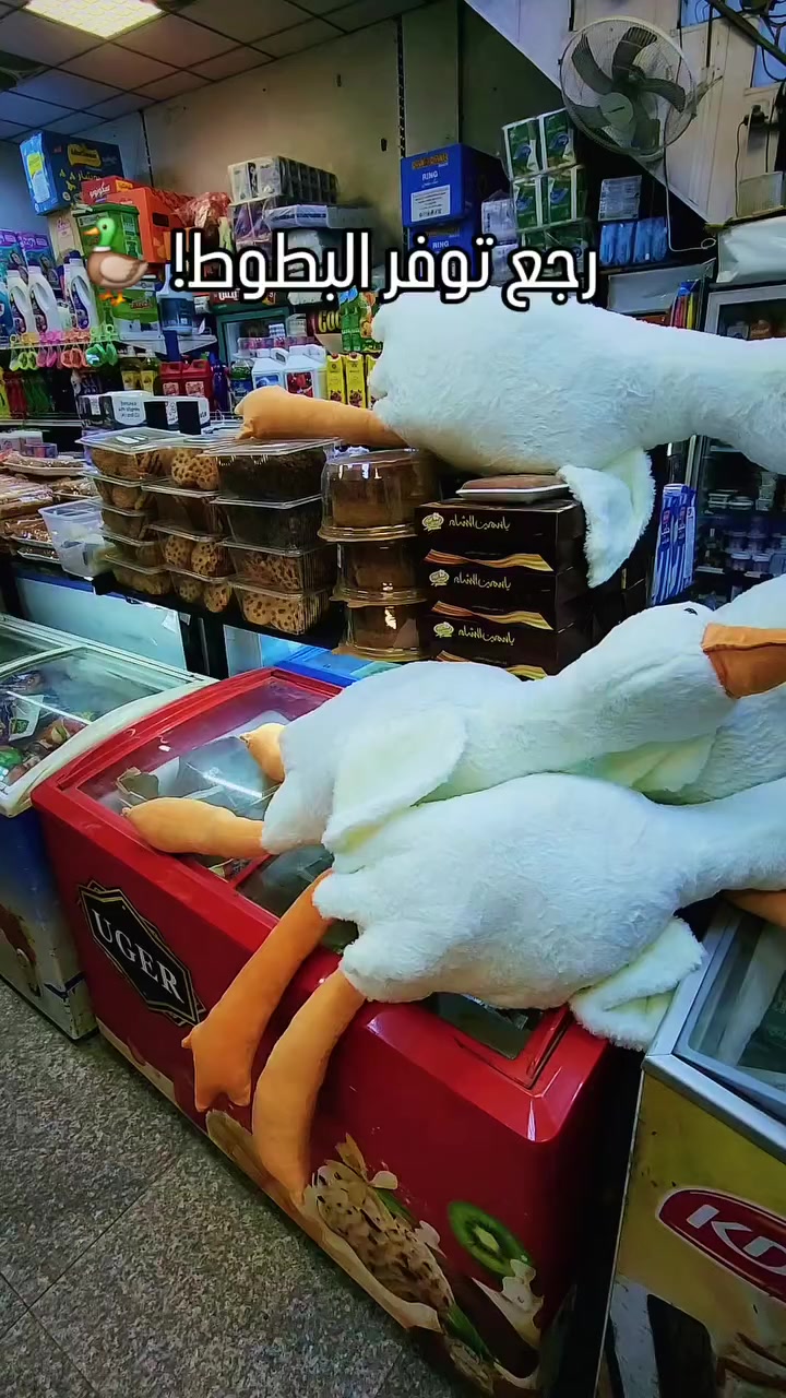 عاد توفر البطوط من جديد! السعر 10 آلاف فقط. يوجد لدينا توصيل لكافة محافظات العراق. للاستفسار، اتصل على الأرقام *********** أو ***********. العنوان: الحلة، مقابل دائرة صحة بابل، بداية شارع المستشفى الجمهوري. 🦆🚚📍 #بط #توصيل #العراق #الحلة #العاب_اطفال
