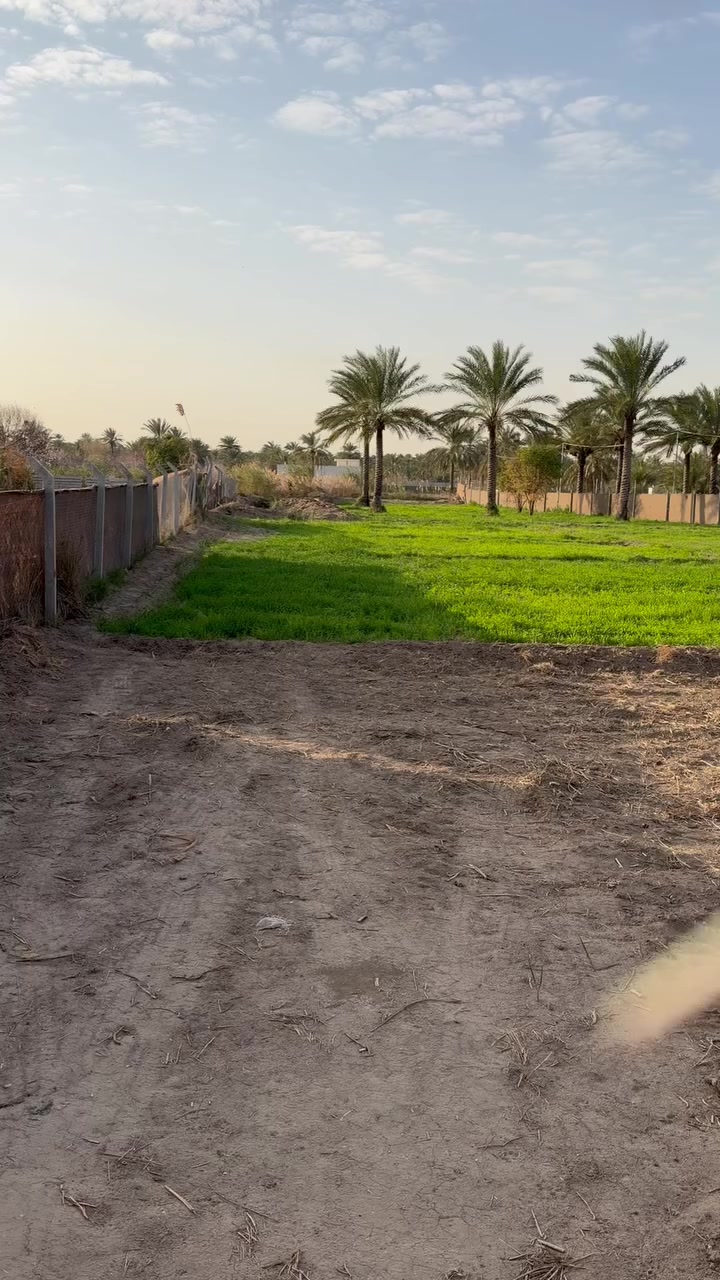 يا الله السلام عليكم دونم وجه 32 طابو سند 25 تحويل مباشر العنوان بغداد المدائن شارع سيد علي ثاني قطعه من نهر دجلة خدمات كامله تبليط ومي شط فياض بي واساله  للاستفسار  *********** ***********
