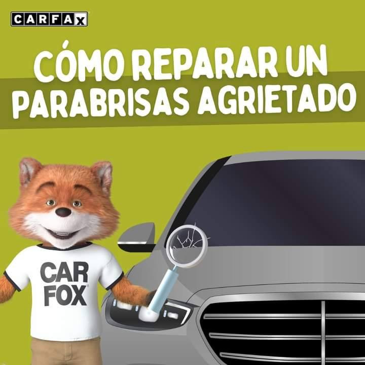 كـشـف اضـرار الـسـيـارات الـوارد  خـلال ٥ دقـائـق فـقـط 🔥🔥🔥
°°°°°°°°°°°°°°°°°°°°°°°°°°°°°°°°°°°
لا تكن ضحيه لضعفاء النفوس اكشف ضرر سيارتك وانته بيتك 🤳🗣
علاء شواصي لكشف أضرار السيارات الوارد الامــريــكـي _ الـكـنـدي _ الـمـكـسـيـكـي 
[ما عليك سوى ارسال رقم الشاصي] وستصلك معلومات السيارة كاملة مع 10صور للحادث [من جميع الجهات و الدواخل و المحرك و الايرباكات و الصندوق..]
 خـلال ٥ دقـائـق فـقـط 🔥🔥🔥
التقرير يبين لك معلومات كاملة و مفصلة للسيارة.. ومنها :
‎1 / حادث قديم أو مصلح 
‎2 /🔥حريق
‎3 /💧غرق
‎4 /🚫تخريب

*******************************
يـوجـد تـقـاريـر كـامـلـة و مـفـصـلـة
تقرير [ الكارفاكس // الاوتوجك]

التقرير يبين لك 🔷
1/ الحادث
2/ 💯المسافه المقطوعه
3/⚠اذا كان اي تلوث اشعاعي
4/ عدد مالكين السياره
5/استخدام السياره ان كانت 
أ-استخدام شخصي 
ب-اجره
ب-استخدام حكومي
والخ....

مـتـواجـديـن عـلـى مـدار الـسـاعـة 🕒

 ☎📞  ***********
فايبر _ واتساب _ تلجرام

عـــــــــلاء  ▪
