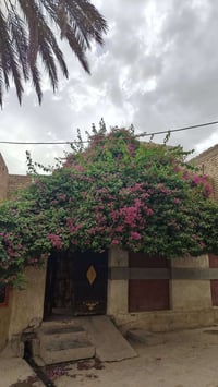 طابو صرف • ١٥٠م • دورين