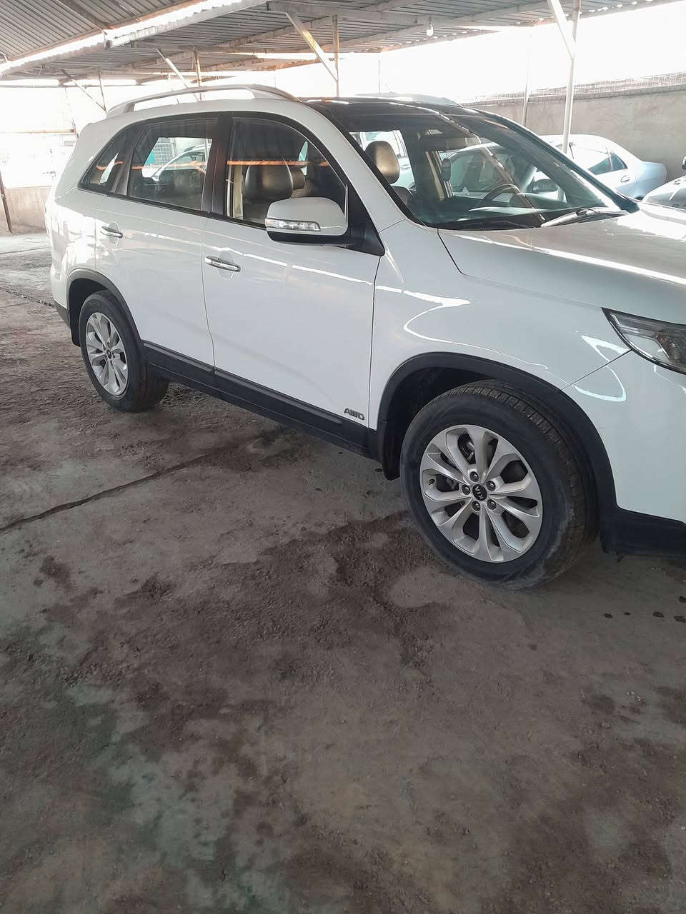 السلام عليكم سورنتو للبيع كويتي موديل ١٣ كفاله ماعدا بارد قليل كما موظح بالسونار رقم بغداد ٦سلندر سبعه راكب السعر ١٧٠ المكان بابل الاسكندريه للاتصال *********** ملاحظه رجائا الي مايعجبه السعر لا يكسر بحلال العالم
