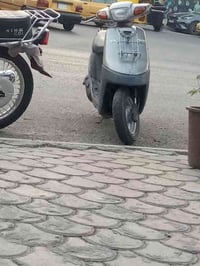 بطة ٩٩ • شاصي ملحوم • كربلاء الحر