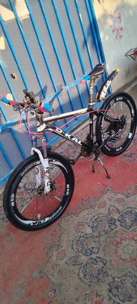 سلام عليكم  بايسكل رياضي للبيع  او مراوس ب طيور قندوره او كوكتيل  مو مهم افراخ او امايات   بايسكل كامل من كلشي كله شغال ودبلات شغاله  للتواصل ((كورك بي وتساب))(***********)او ***********
