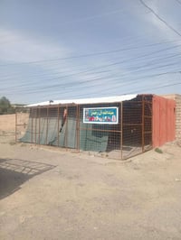 سقيفه كامله • محل للبيع • الشركاط