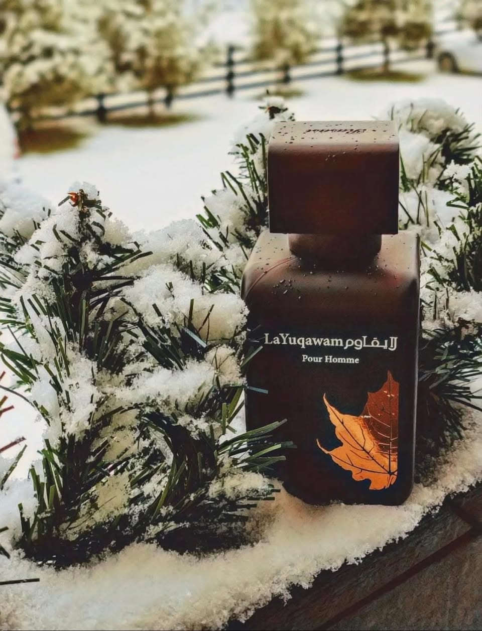 عطر لا يقاوم بيور هوم للرجال او دي بارفيوم من الرصاصي 75 مل
Rasasi La Yuqawam Pour Homme EDP 75ML For Men

عطر شرقي للرجال 
. La Yuqawam Homme صدر عام 2012. 

إفتتاحية العطر توت العليق, الزعفران و الزعتر; 

قلب العطر اللبان, الياسمين و الشيح; 

قاعدة العطر تتكون من الجلود, جلد الغزال (الجلد المدبوغ), الأخشاب و العنبر.

 إن رائحة الجلد هي توقيع سلسلة لا يقاوم الرجالية. يبدأ عطر لا يقاوم للرجال برائحة جلدية ترابية وحارة ومريرة. يضفي الزعفران الهندي نكهة راقية ناعمة وحميمة على الافتتاحية الجلدية، مما يضبط الإيقاع لتجربة حسية. ينتفخ العطر بالإثارة حيث يتعرج إلى الروائح الأساسية الحيوانية المعقدة من الجلد الإيطالي والعود الهندي المحلى برائحة ترابية دافئة ومسكرة من العنبر. العطر عبارة عن زينة راقية للرجل المرغوب فيه، القوي، الأنيق والراقي.

 #لانكوم #أيدول #تخفيضات #نسائي #لايك #عرض #بصره #رجال #فواحة #بغداد #عروض #عطور #مغري #ضمان #شباب #العراق #شاهد #عطر #فيسبوك #رجالي #اورجنال #بنات #اصلي #فرنسا #ترند #خصم #اربيل #انثوي #جميل #السليمانية


**إذا كنت صاحب هذا الإعلان وتريد حذفه لأي سبب، رجاءا أرسل رسالة إلى الدعم الفني**